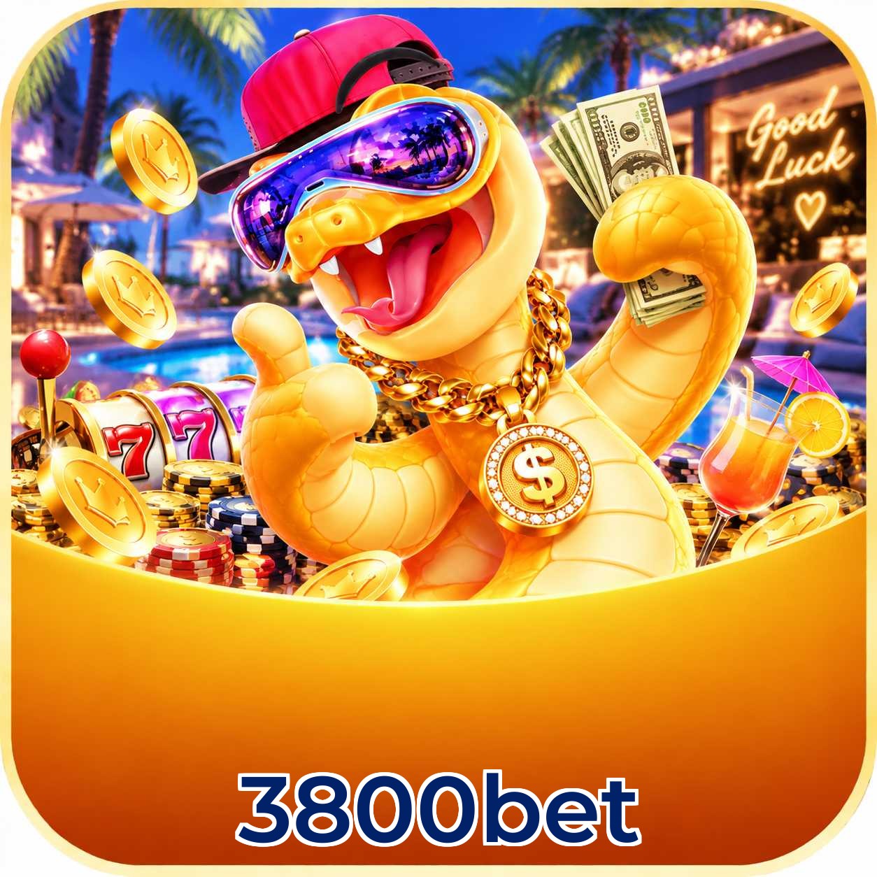Grandes ganhos no cassino ao vivo da 3800bet